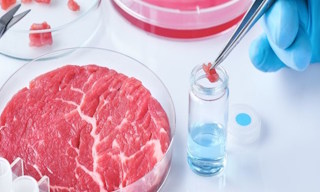 Лабораторный анализ пищевых продуктов по СанПиН в Верхнем Уфалее в октябре