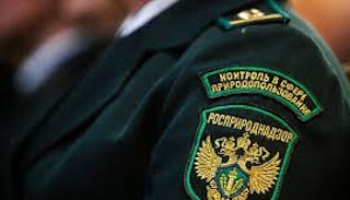 Подготовка к проверке Росприроднадзора в Верхнем Уфалее от ПромМир-Врф, стоимость услуги от 20468 руб.